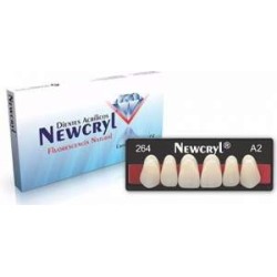 Dientes Newcryl