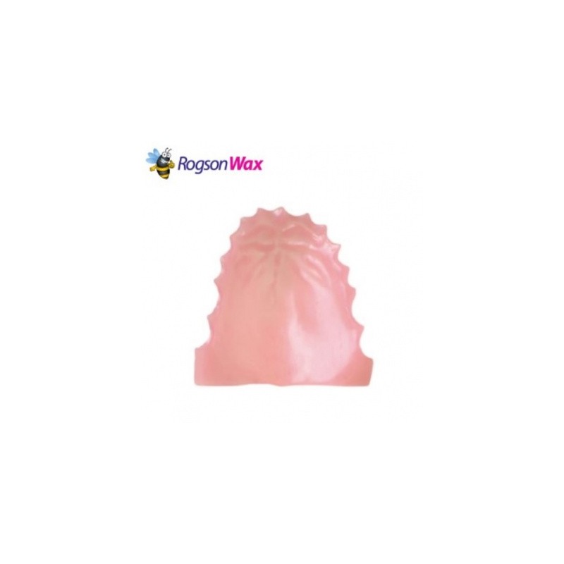 Paladar Anatómico Universal