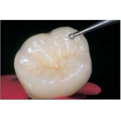 Fresa de Diamante NTI Esférica